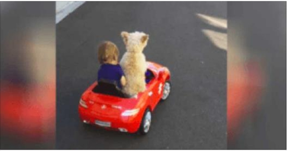 La maman filme son enfant dans la voiture rouge, gardez un oeil sur le chien quand ils font des tours