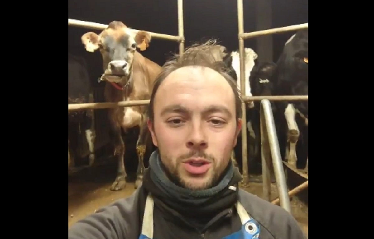 Un fermier lance un dfi unique : offrir 3000 litres de lait aux plus dmunis si sa vido est vue 10 000 fois!