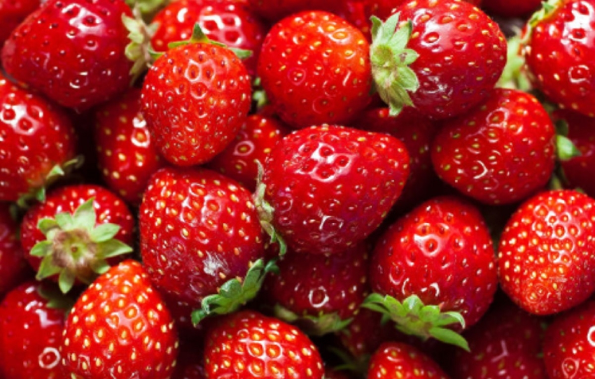Important rappel de fraises contamines par l'hpatite A