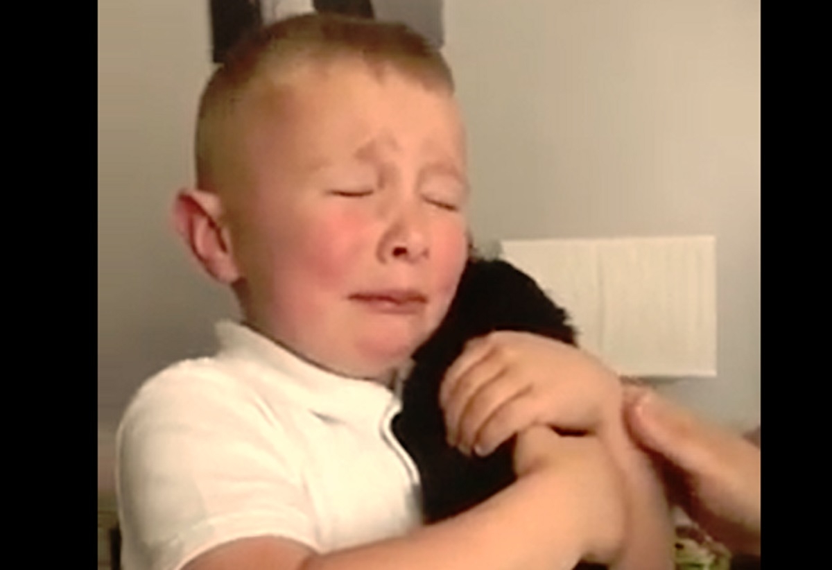Un jeune garon victime de harclement scolaire se fait consoler de la plus belle des faons!