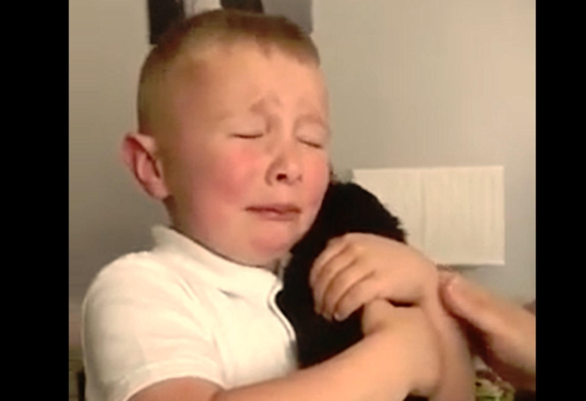 Un jeune gar�on victime de harc�lement scolaire se fait consoler de la plus belle des fa�ons!