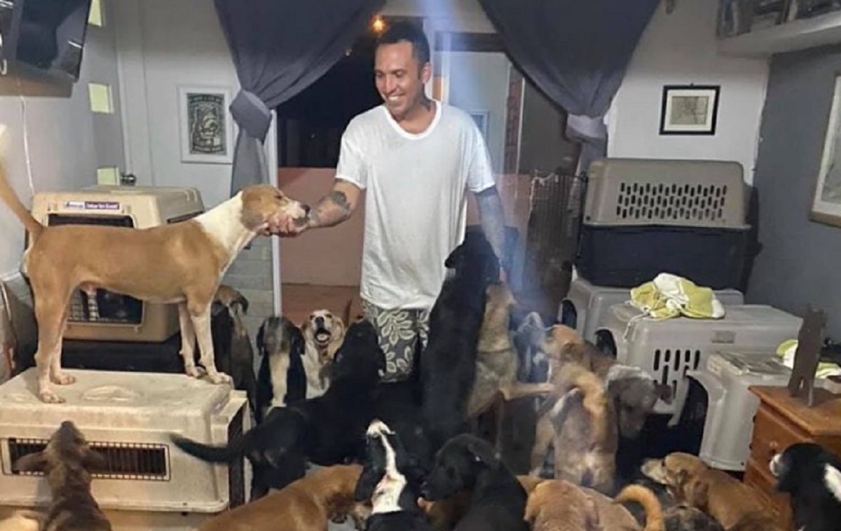 Un homme prend sous son aile 300 chiens pendant un ouragan