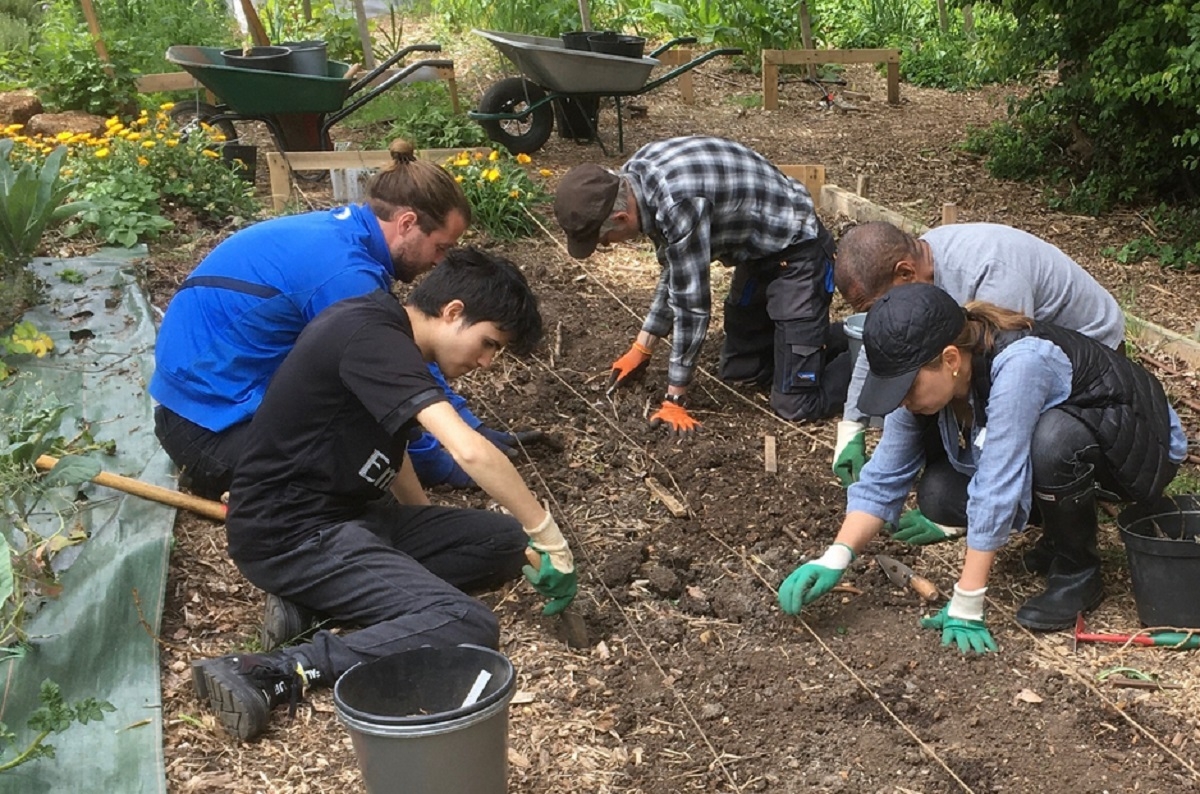 Une cole remplace leurs heures de retenue par des corves de jardinage